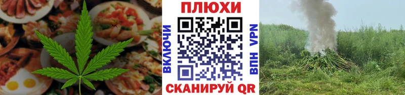 где купить наркоту  Щигры  Cannafood конопля 