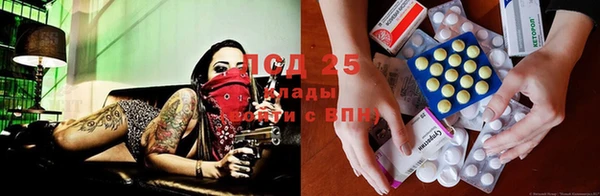 прущий лед Костерёво