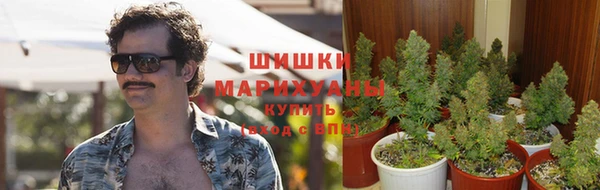 каннабис Корсаков