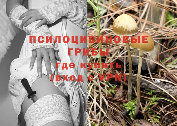 прущий лед Коряжма