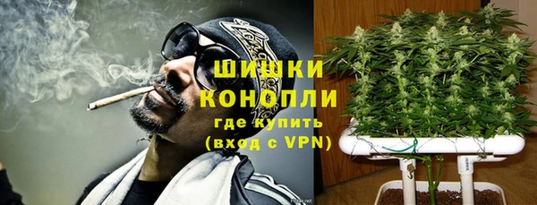 прущий лед Костерёво
