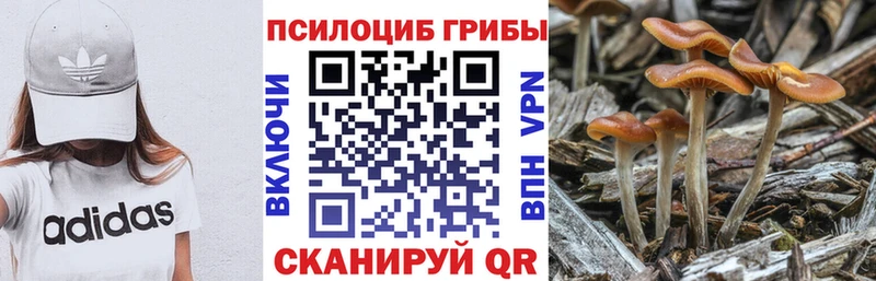 купить  цена  Щигры  Галлюциногенные грибы мухоморы 